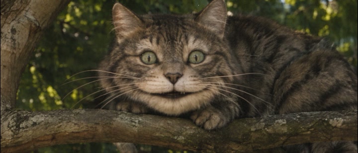 Улыбка, которая знает правила